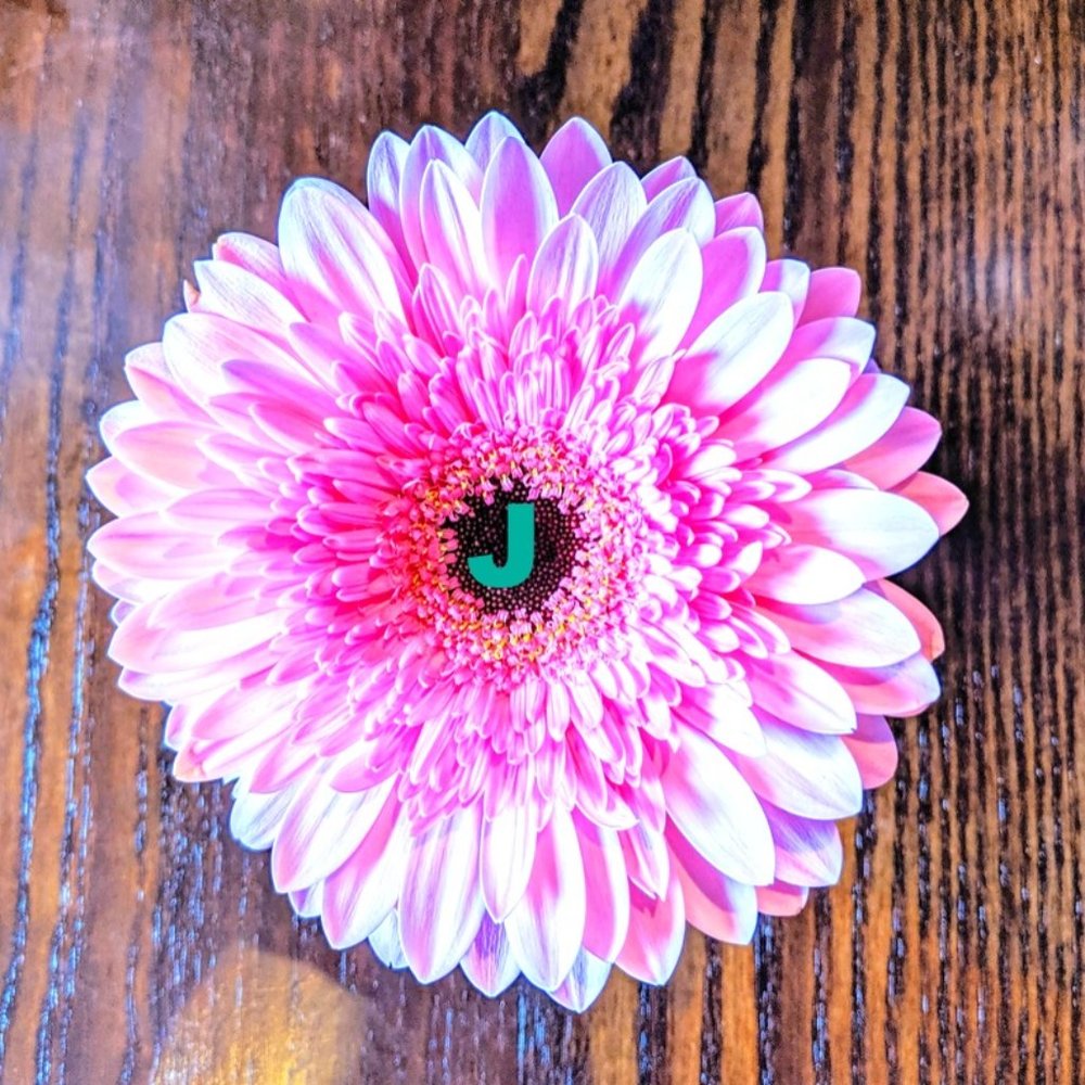 Meet your Posher, Jeanne